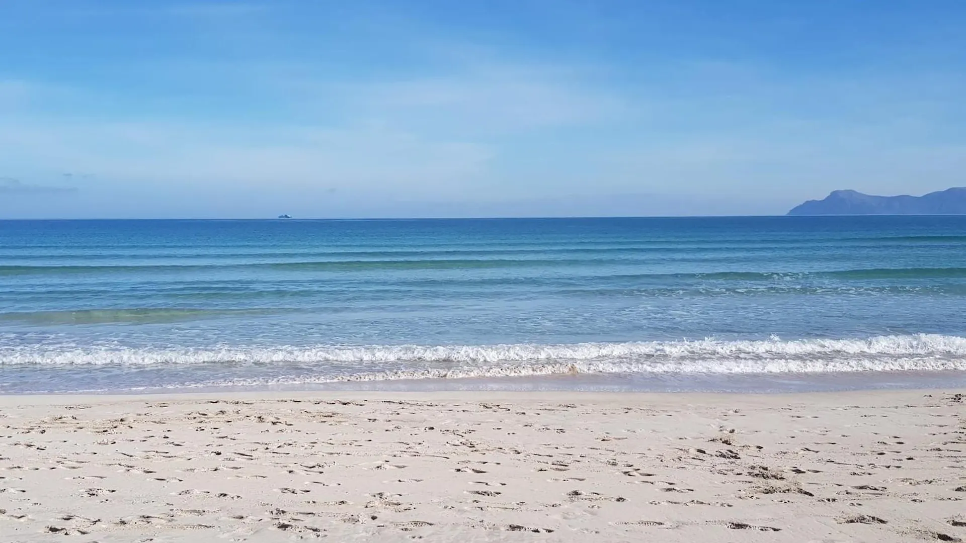 Ideal Property Mallorca - Mary 알쿠디아 항구 아파트