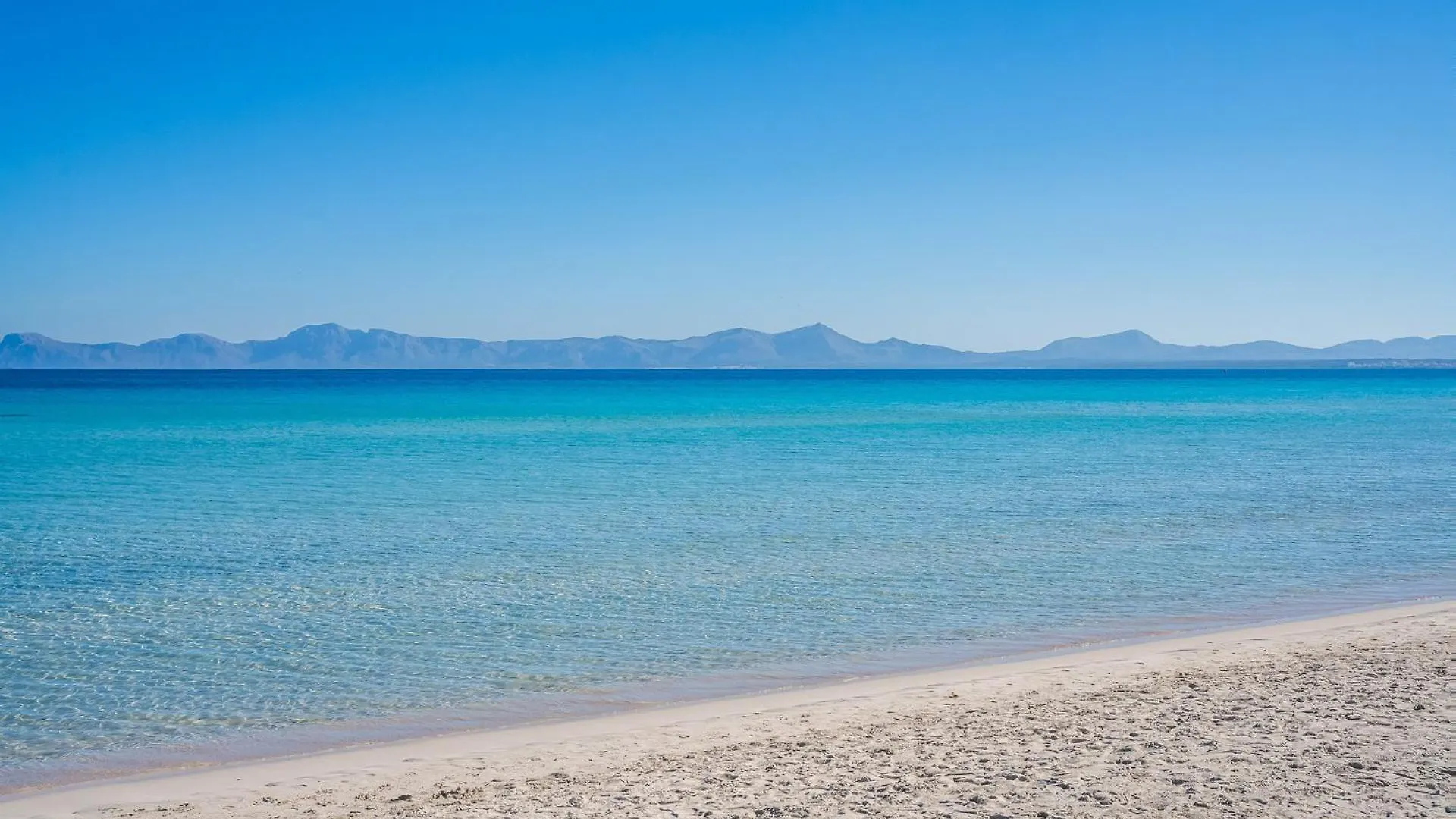 Ideal Property Mallorca - Mary联系方式